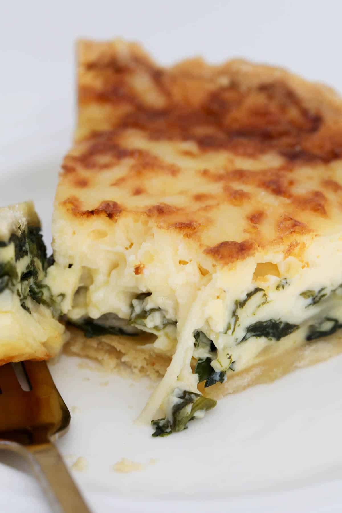 A close up showing a creamy spinach filling and melted cheese.