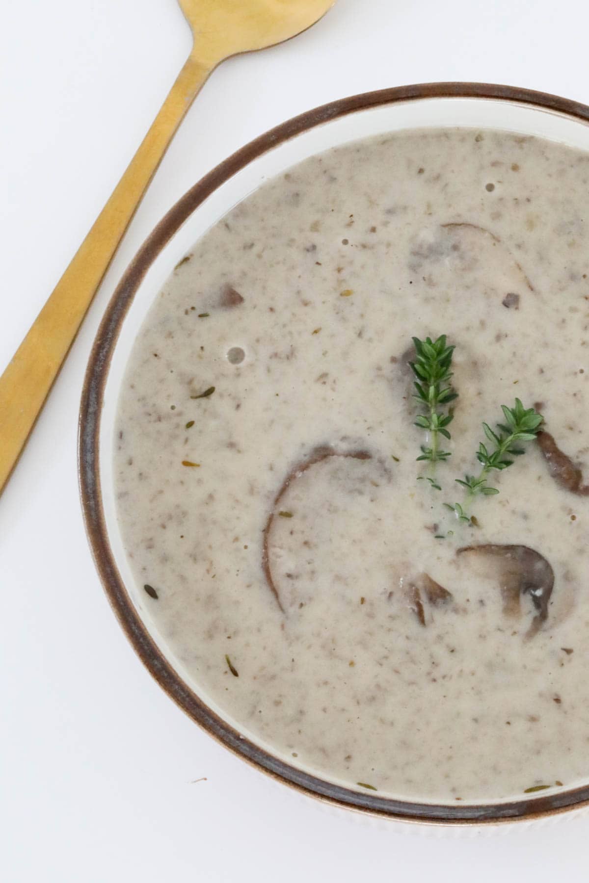 Overhead photo of mushroom soup in a bowl.