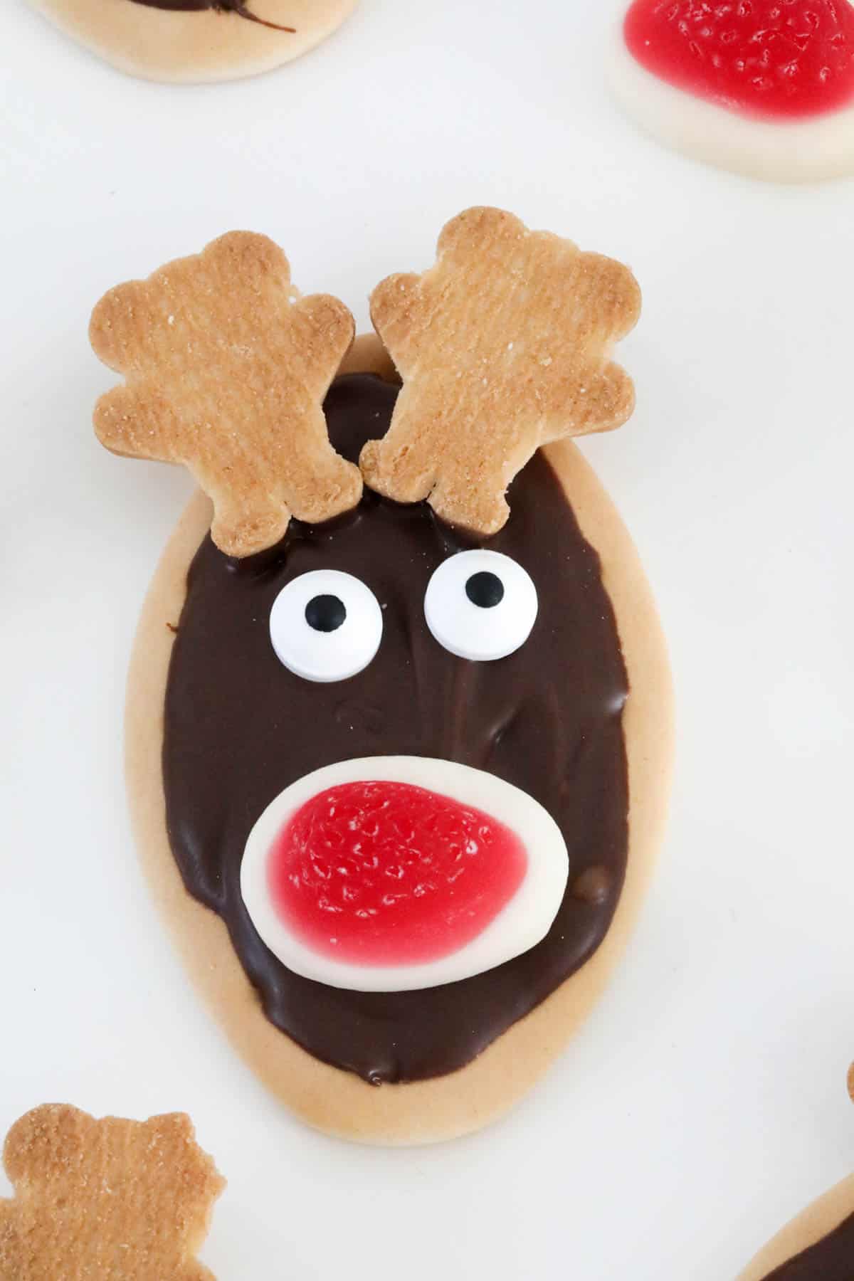 Close up of a reindeer biscuit on white background.