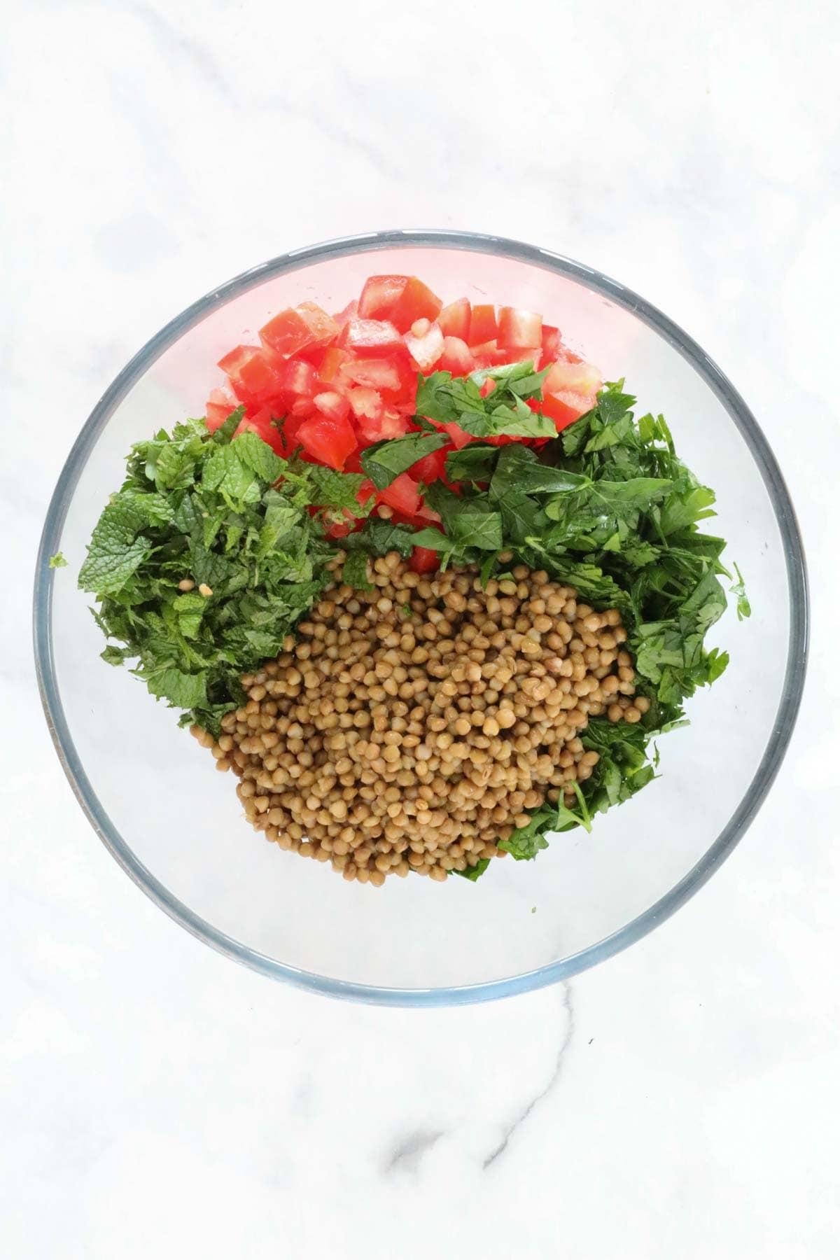 The lentil salad ingredients placed in a large bowl.
