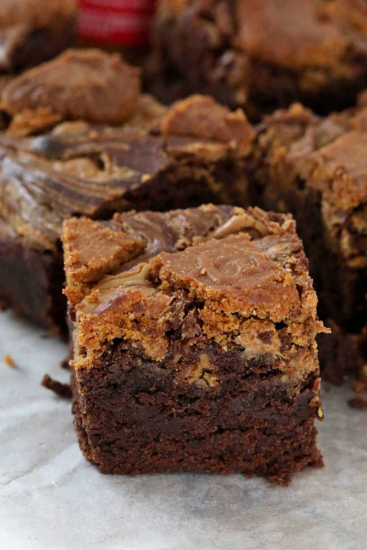 A close up of Biscoff brownie squares.