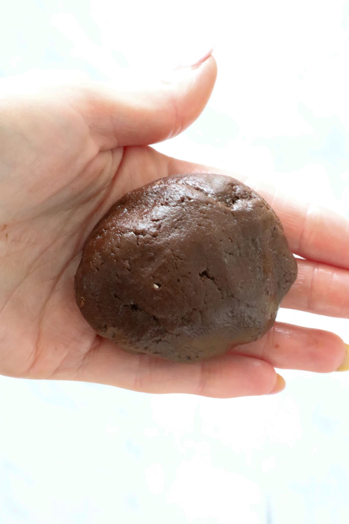 A hand holding a rolled filled chocolate cookie.