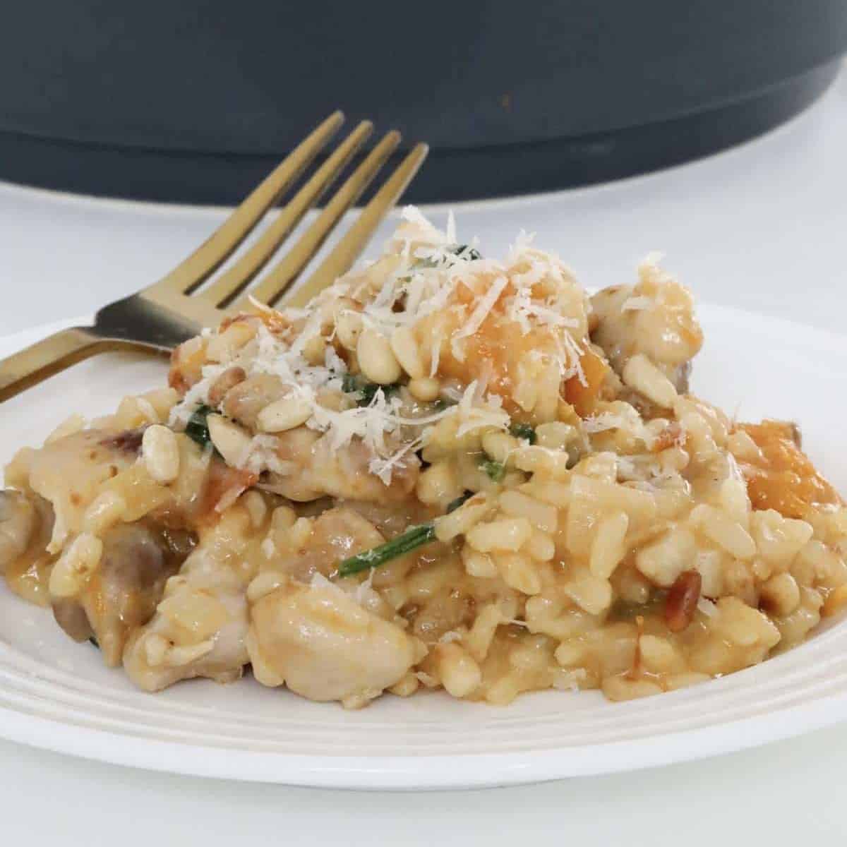 A plate filled with creamy risotto with chunks of chicken, spinach, pumpkin and pine nuts.