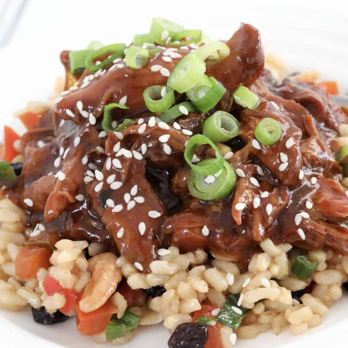 A bowl filled with Asian honey soy garlic chicken cooked in a slow cooker.