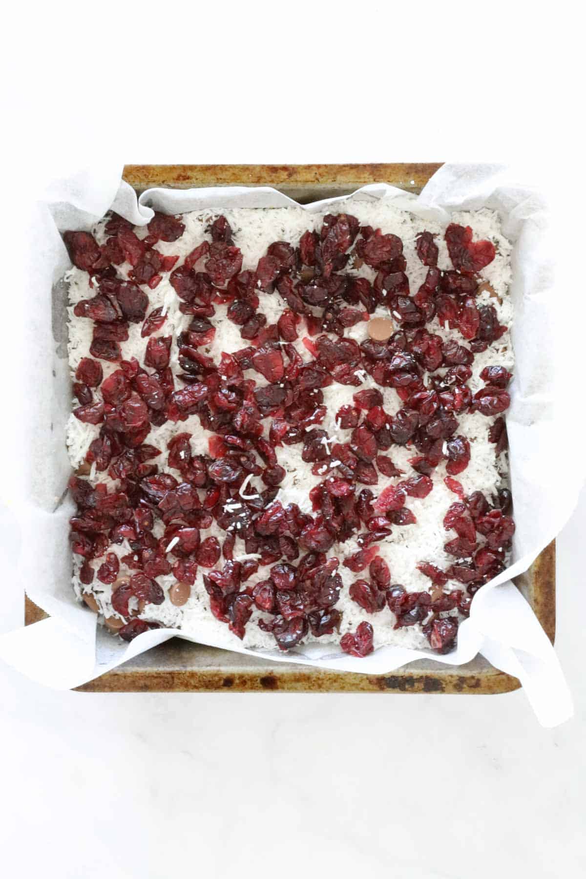 Dried cranberries sprinkled over the coconut.