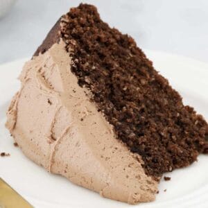 A piece of chocolate cake topped with creamy chocolate buttercream.
