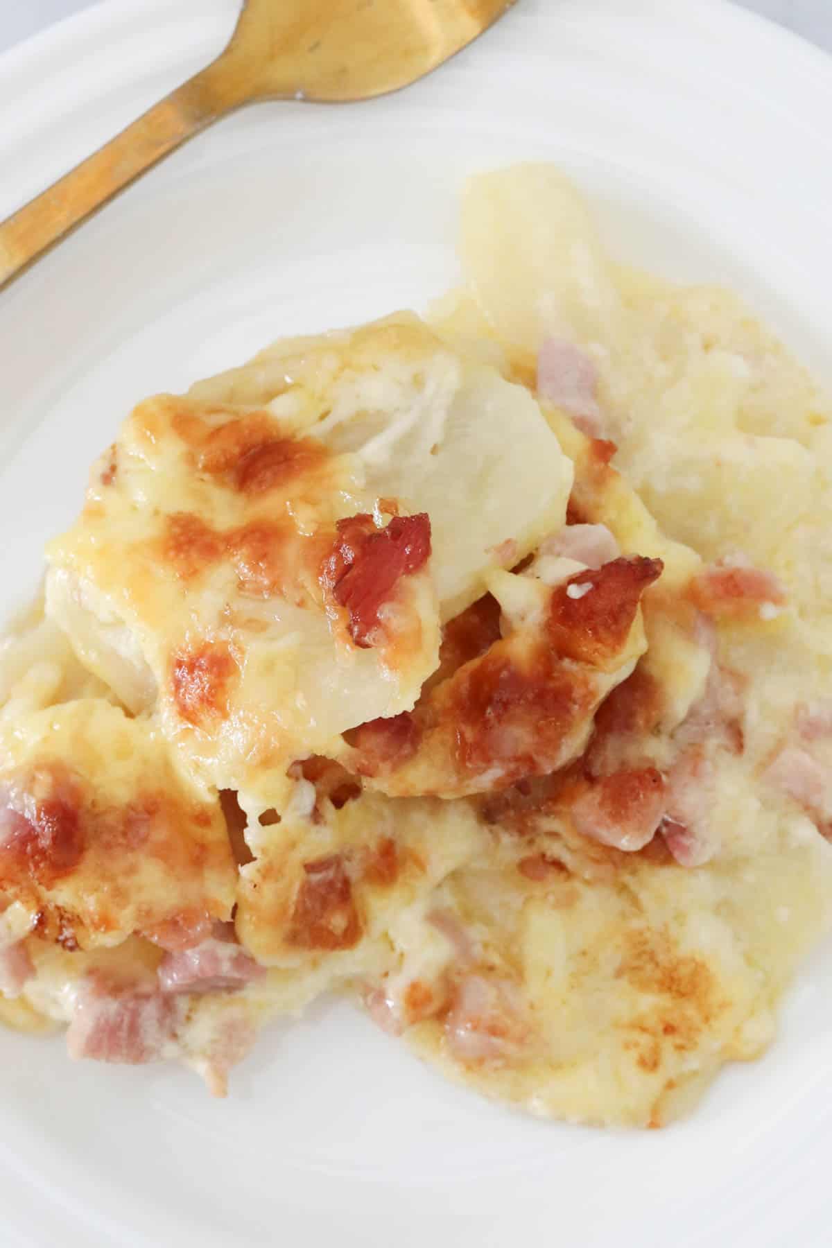 A portion of the potato and bacon bake on a white plate with a gold fork beside.