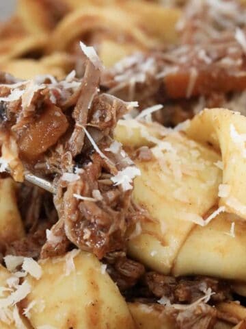 A forkful of pasta with lamb ragu and parmesan cheese.