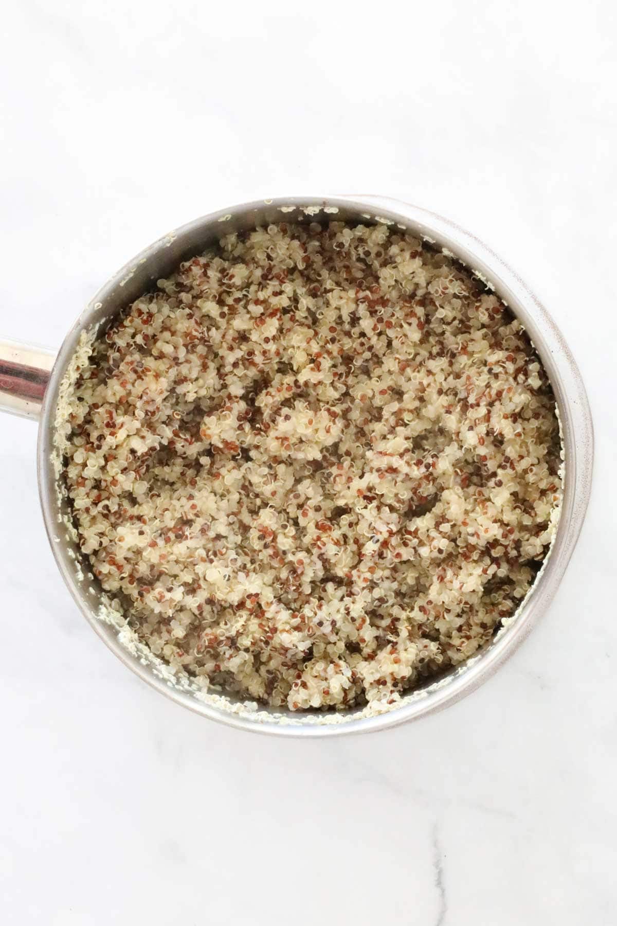 The cooked quinoa in a pan after being fluffed with a fork.