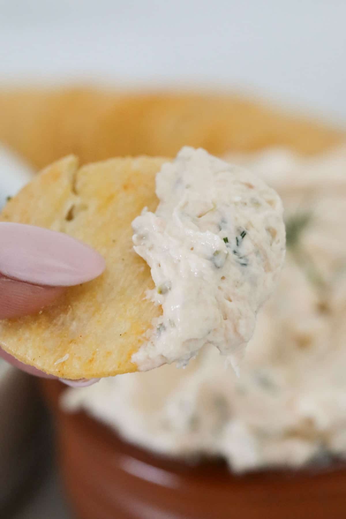 Close up of a hand holding a cracker dipped in the smoked salmon dip.