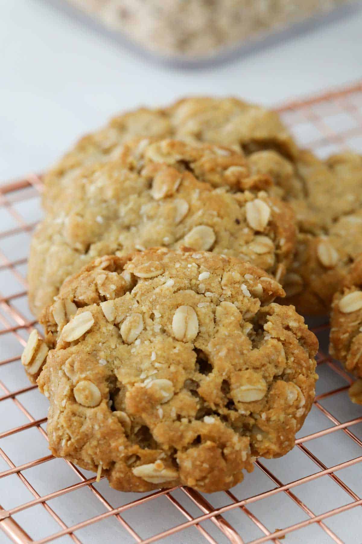 A close up of chewy ANZAC biscuits showing the rolled oat texture.