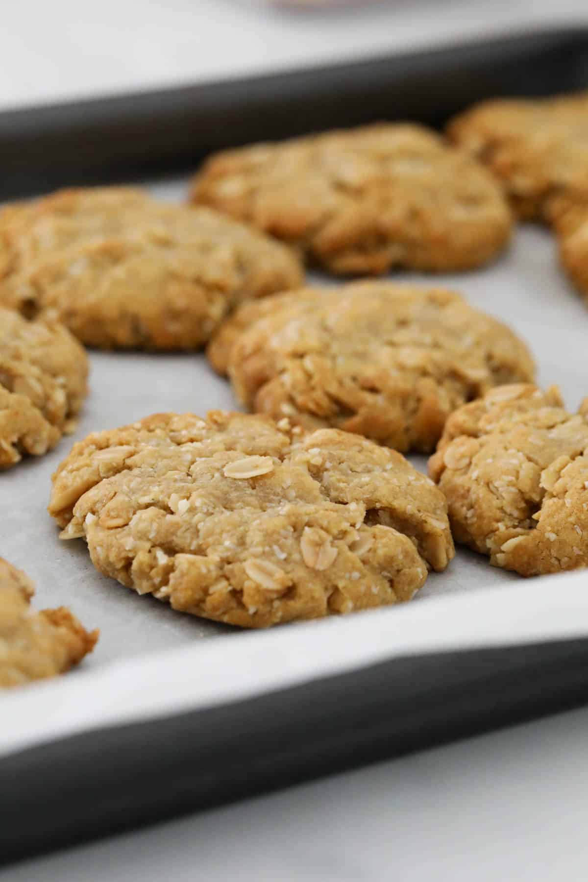 Baked ANZAC biscuits on a baking tray.