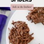 Crunchy chocolate and peanut butter spiders on a plate.