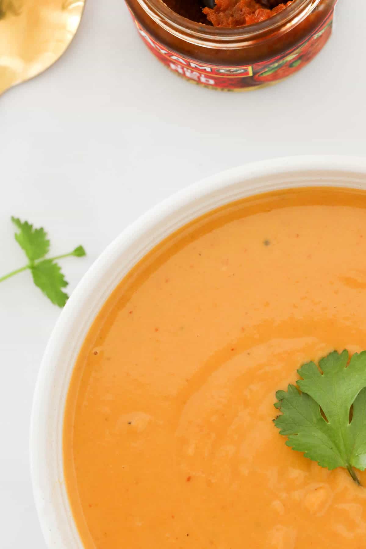 Looking down on a bowl of creamy pumpkin soup.