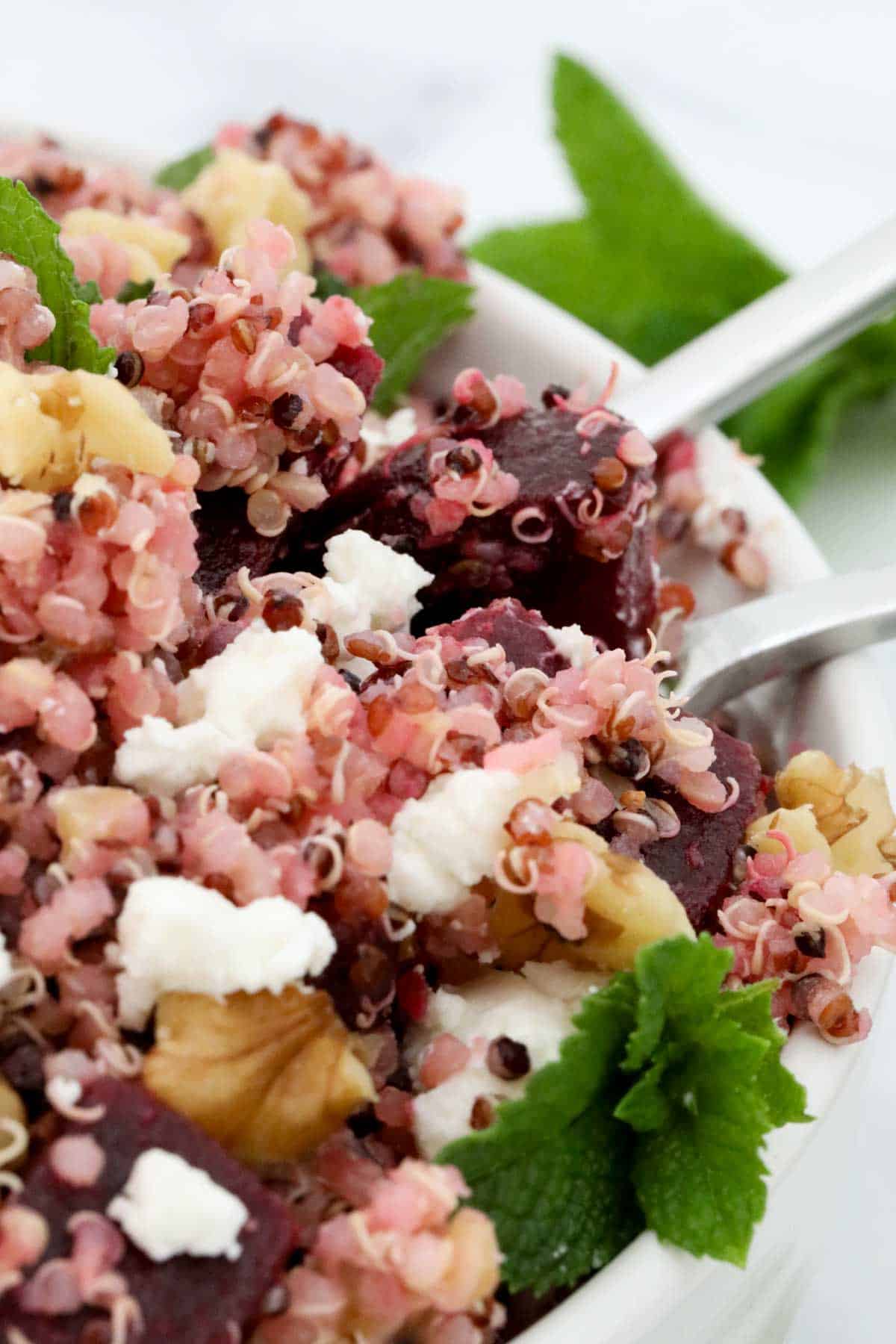 Quinoa, beetroot, walnuts and mint leaves mixed in a salad bowl.