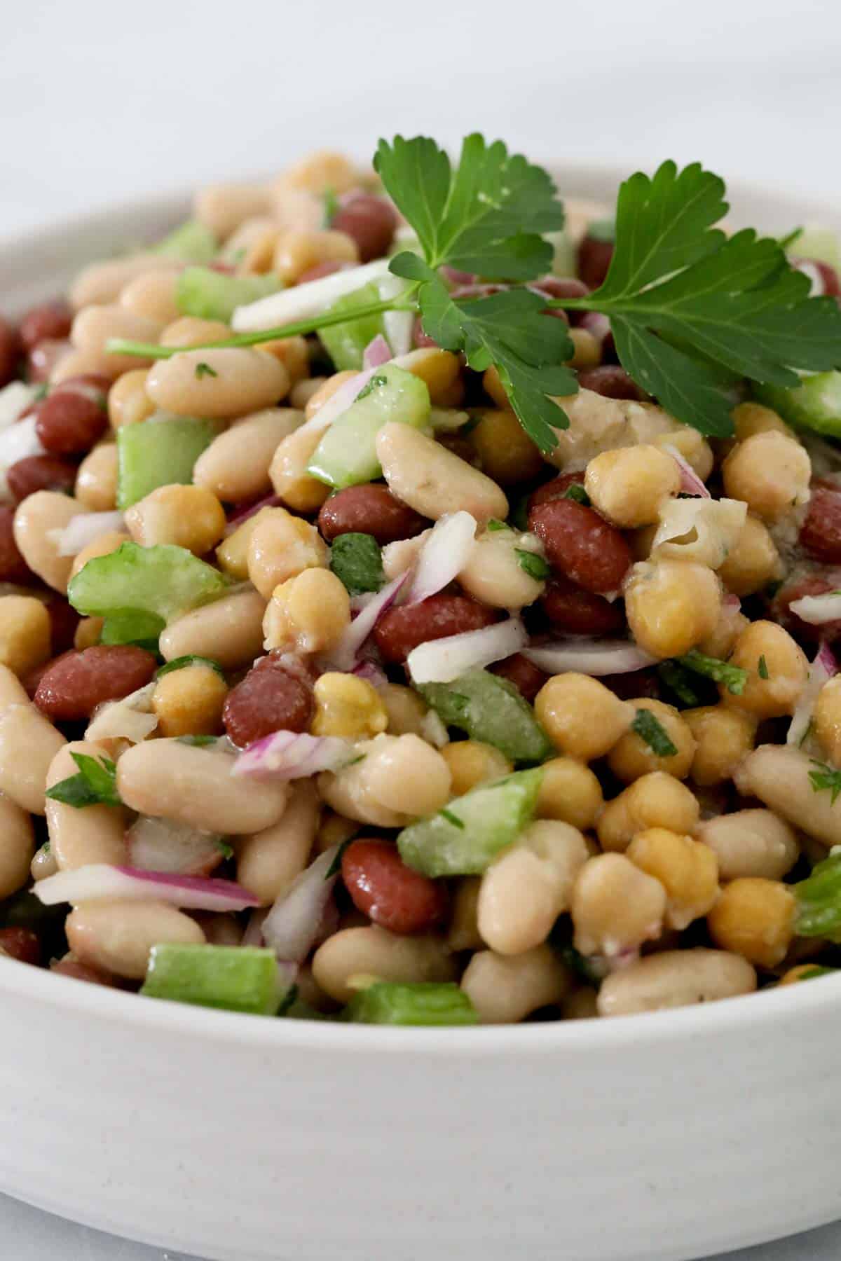 A close up of mixed beans and chickpea salad.