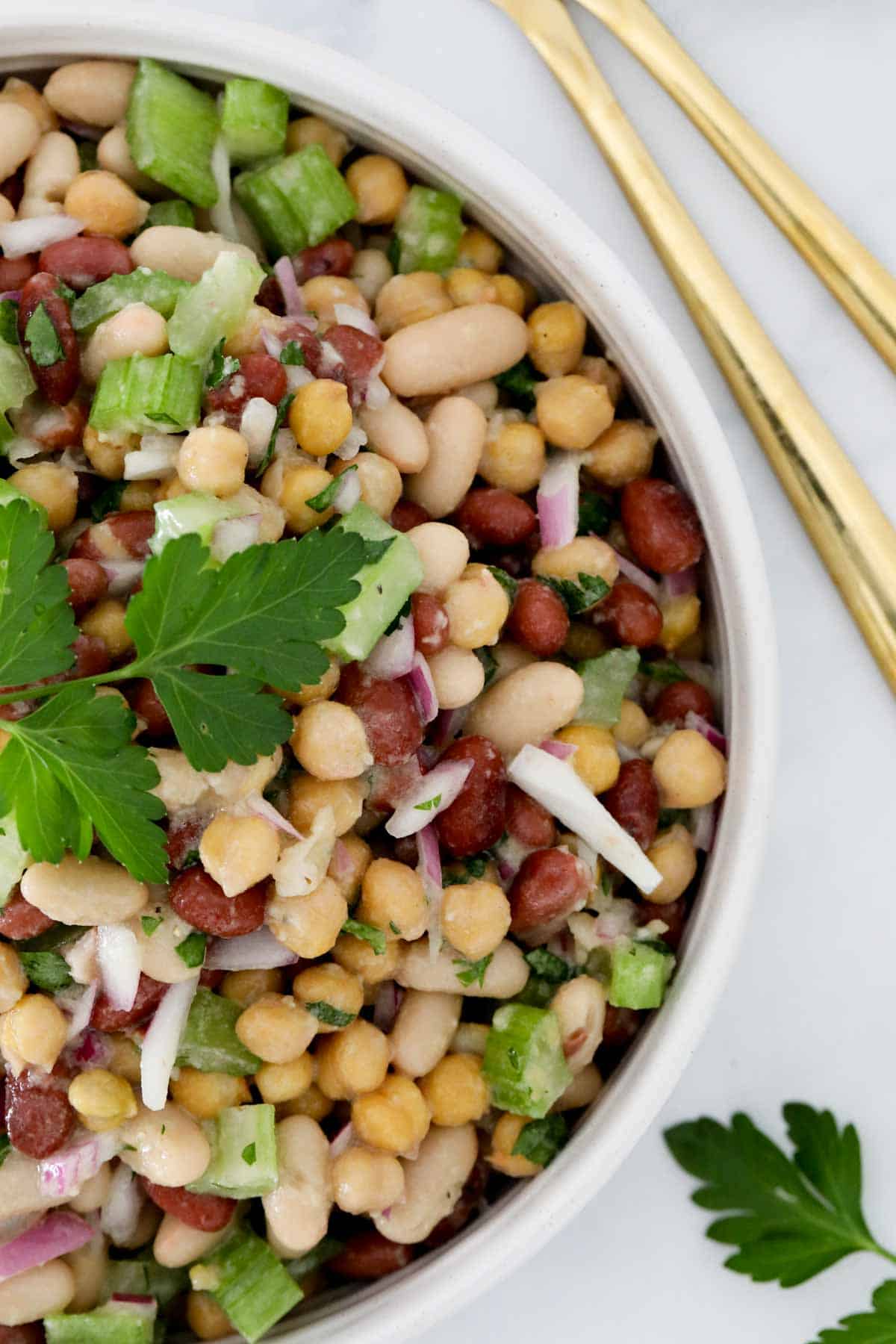 Overhead shot of beans, chickpeas, celery and red onion, with a sprig of parsely on top.