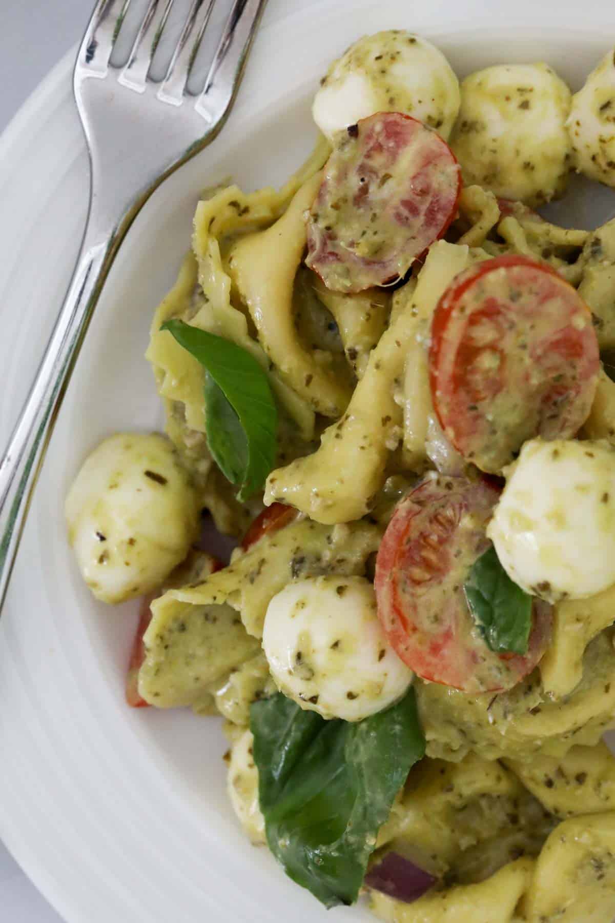 Chopped cherry tomatoes, baby bocconcini, and pasta all tossed through a pesto sauce.