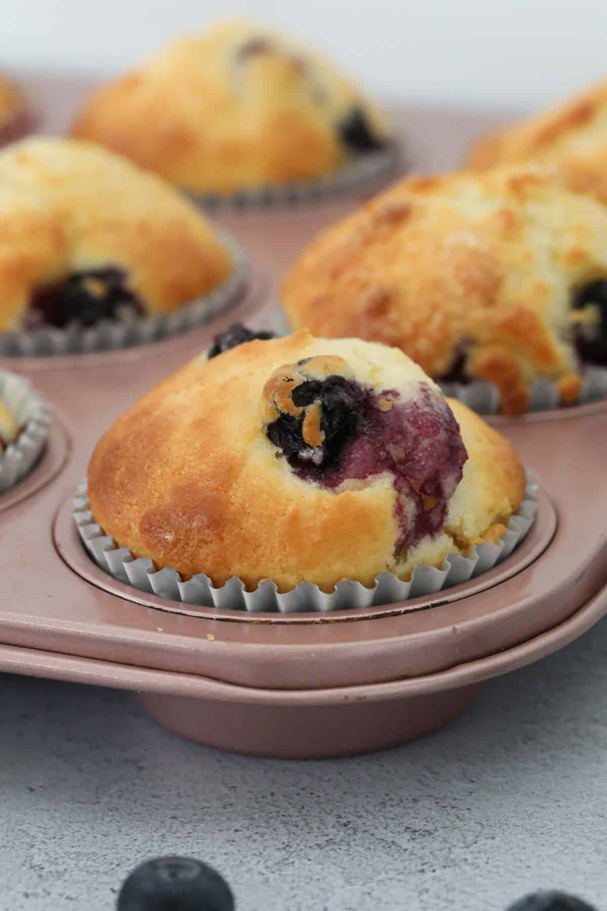 Cafe style blueberry muffins in silver paper cases in a muffin tray.