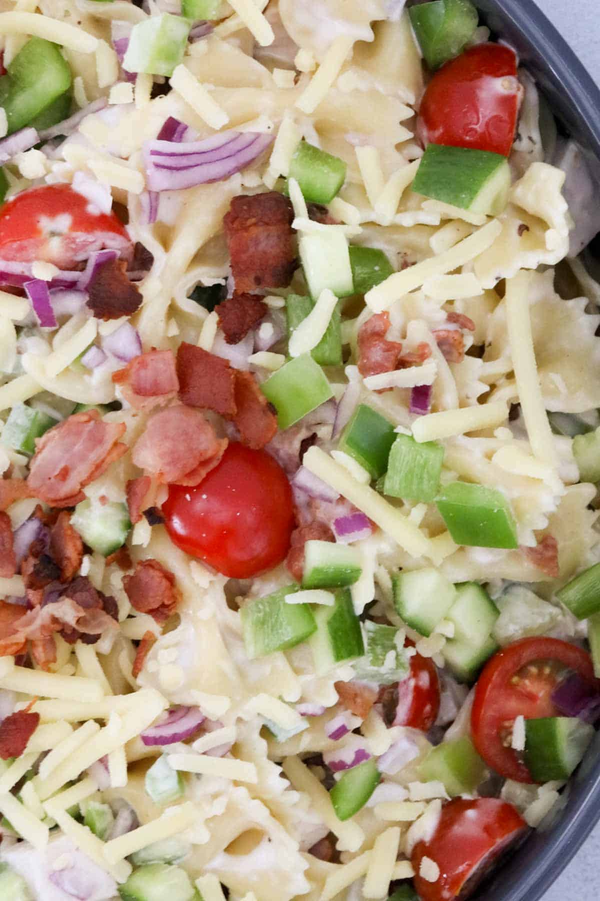 A close up of chicken bacon ranch pasta salad.