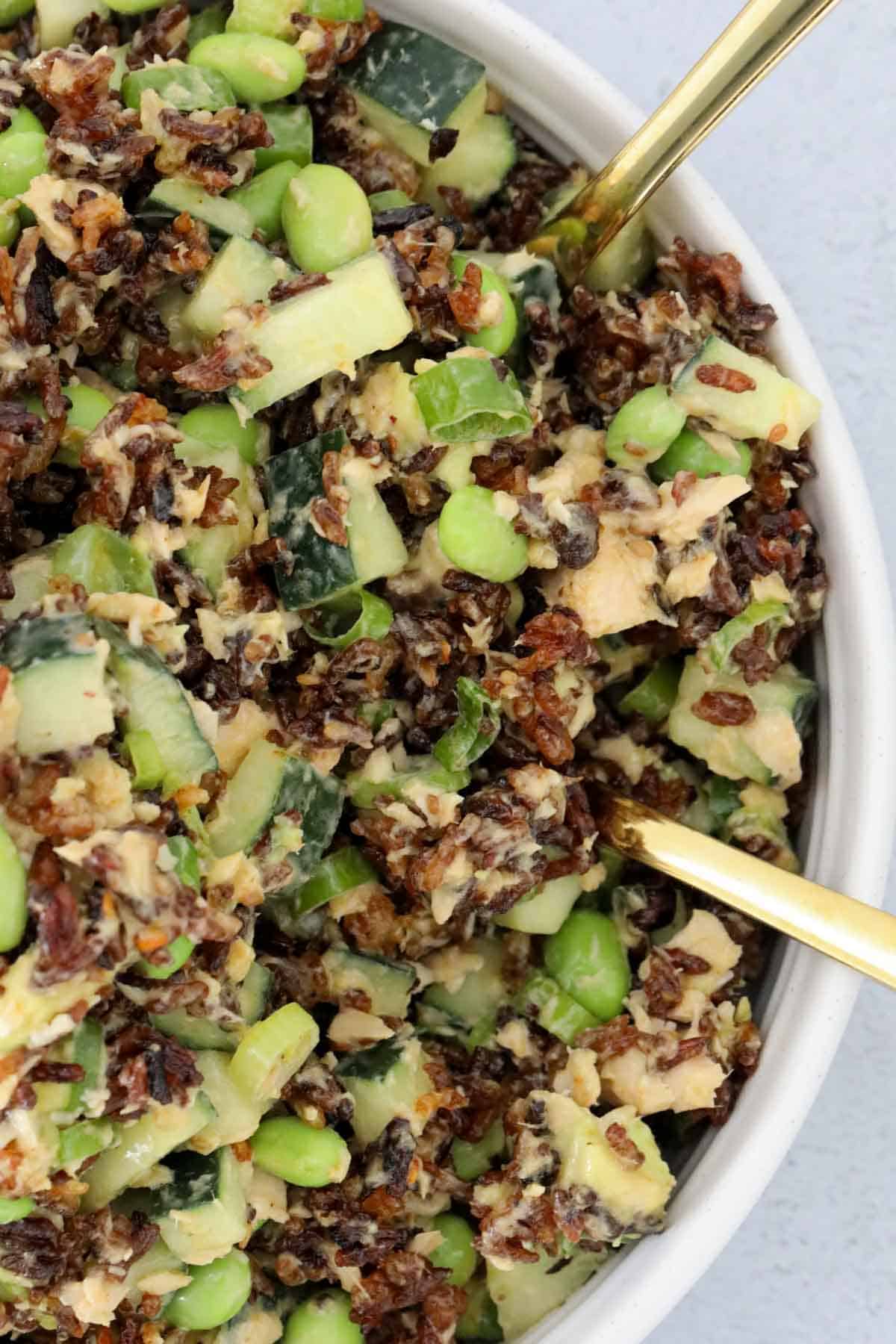 An overhead shot of a baked rice salad with cucumber, salmon, avocado and green onions.