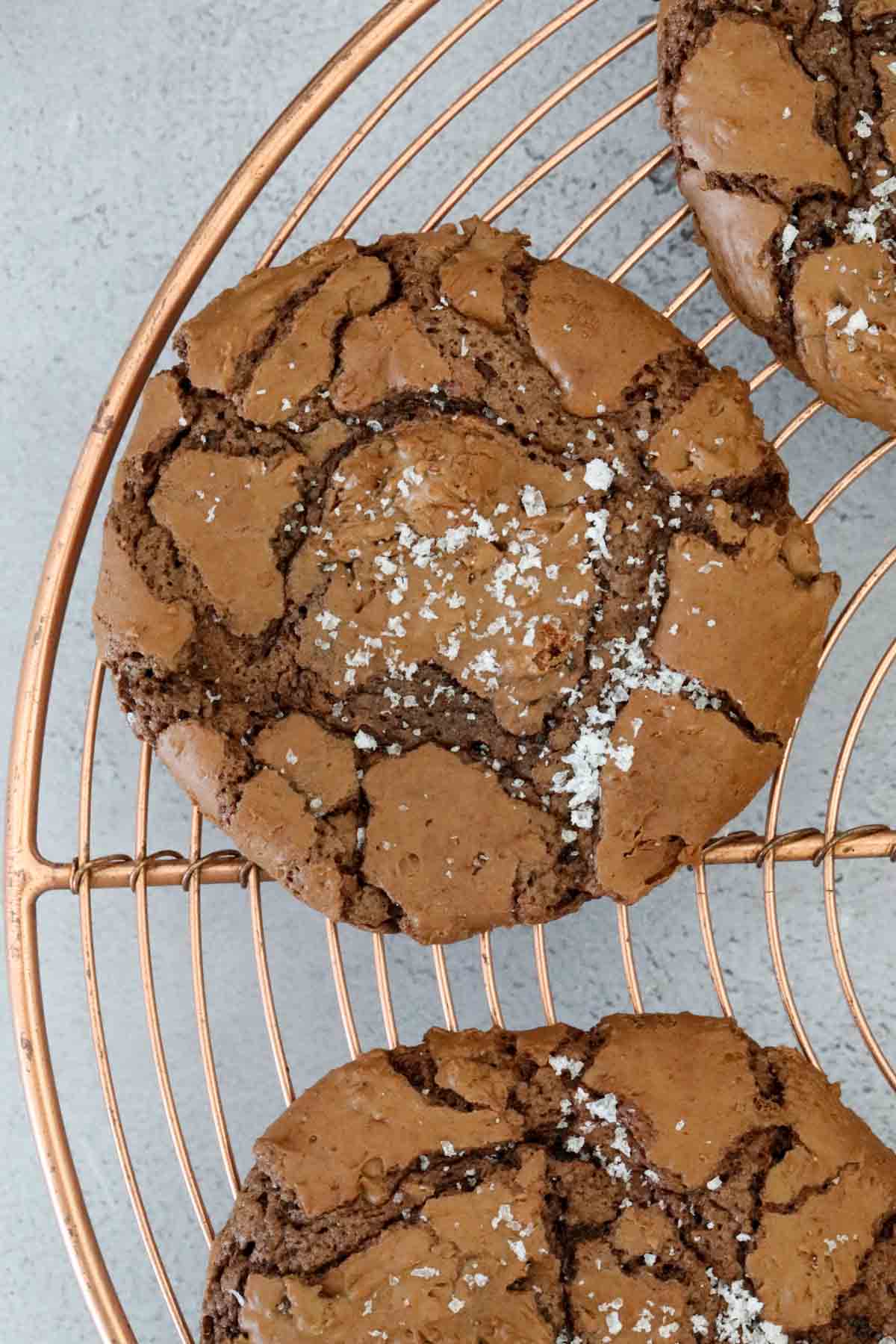 A crinkly chocolate brownie cookie sprinkled with sea salt on top.